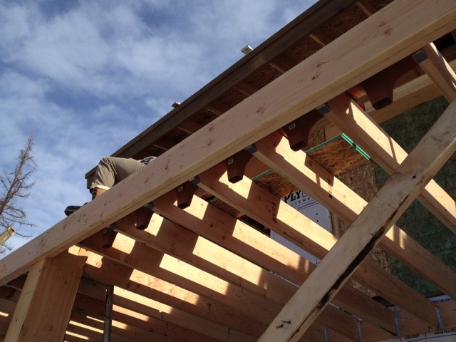 20120127-121457.jpg