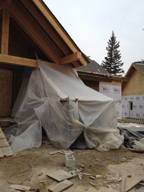 20120206-092442.jpg