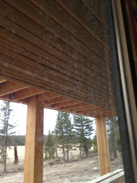 20120310-175936.jpg