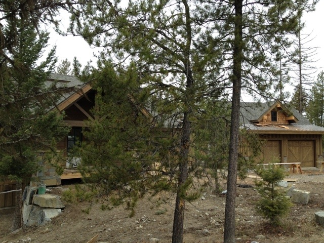 20120330-164243.jpg