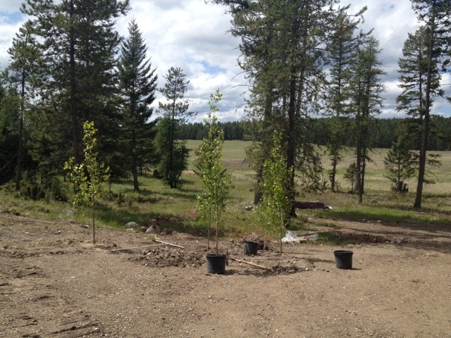 20120525-125452.jpg