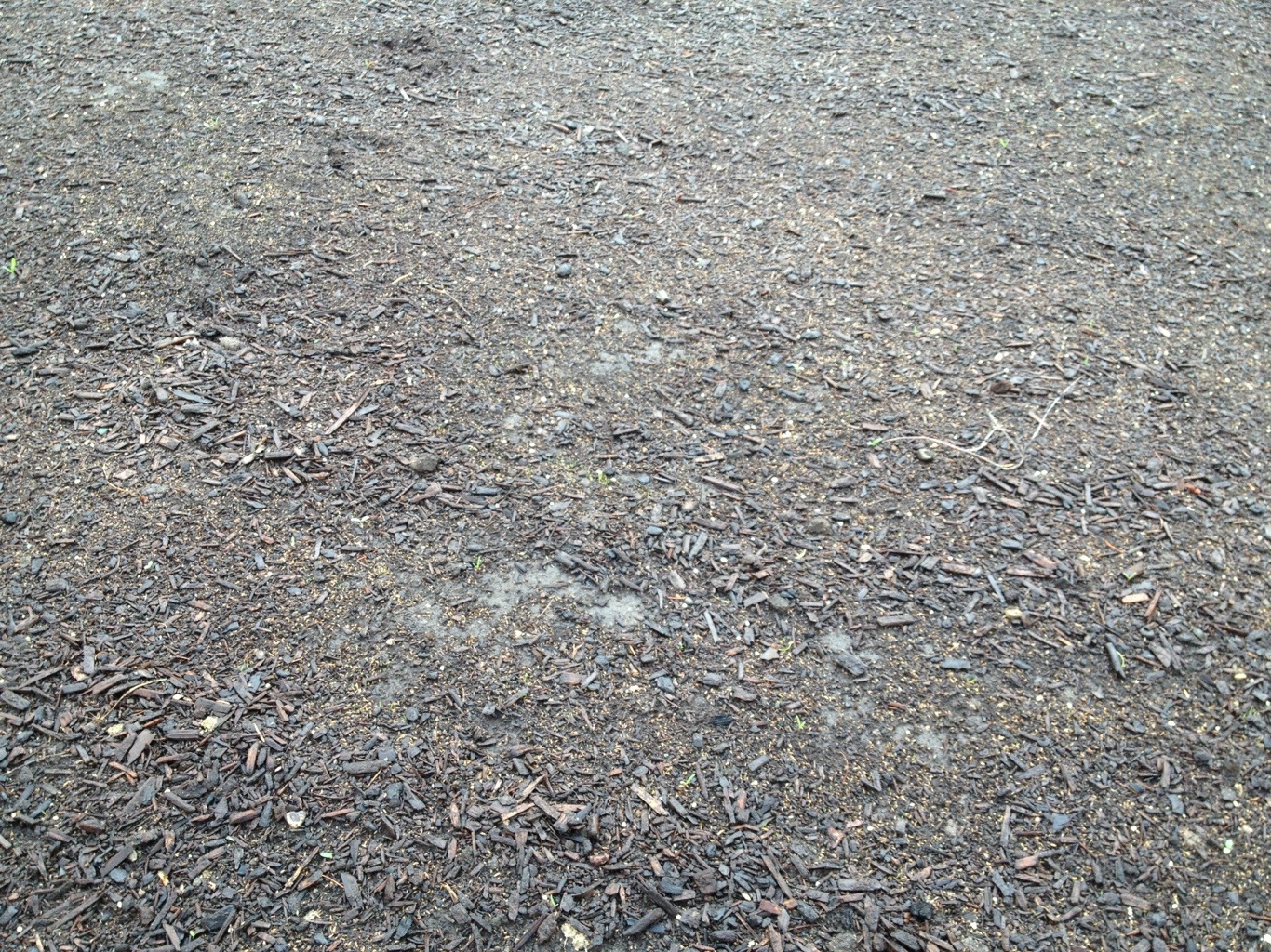 20120713-085916.jpg