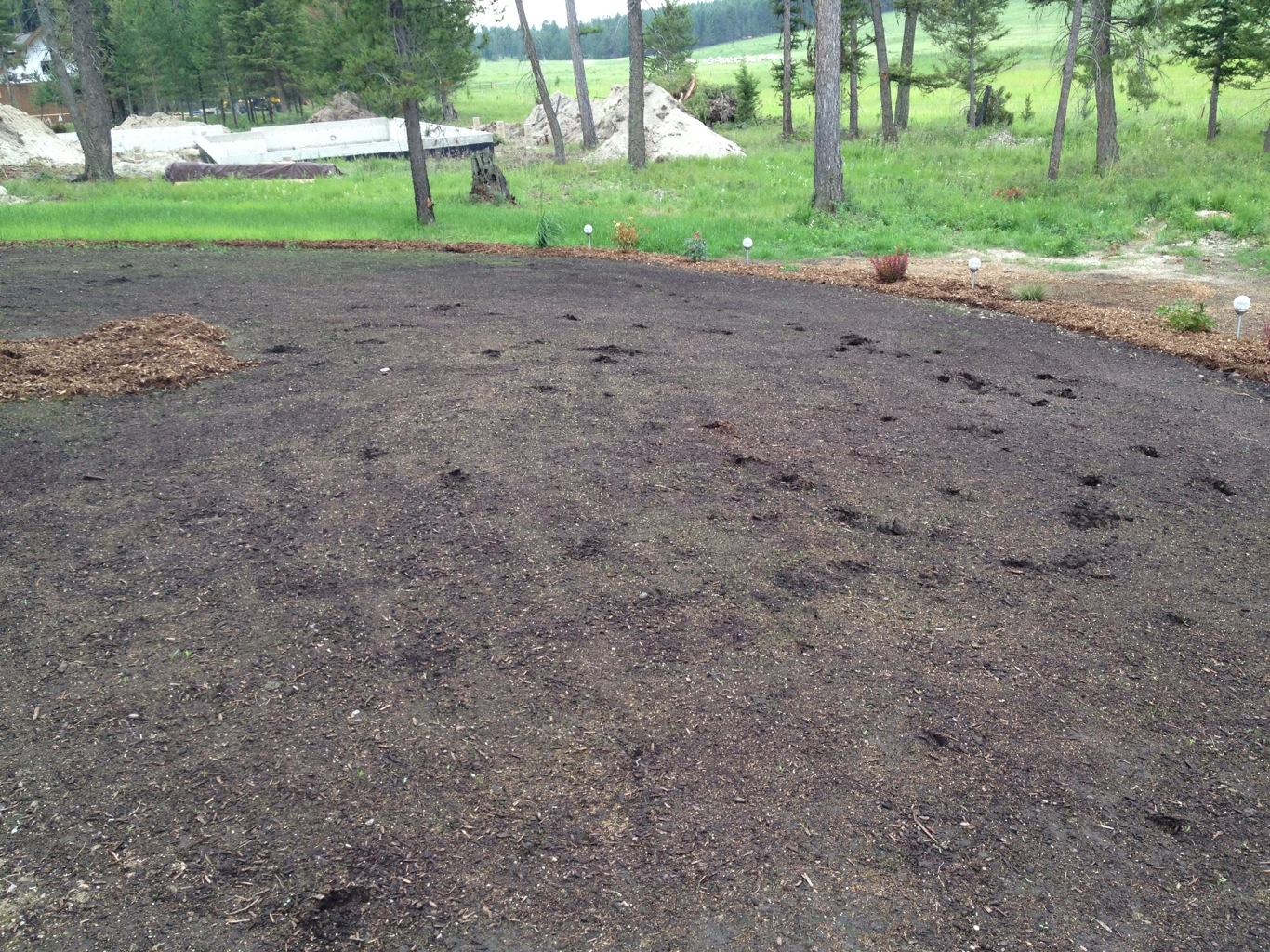 20120714-164133.jpg