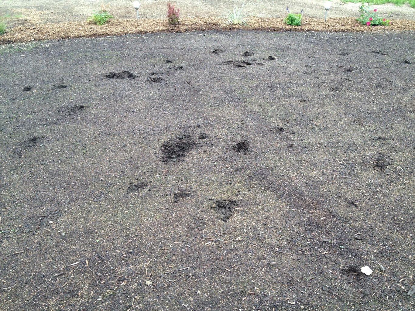 20120714-164146.jpg