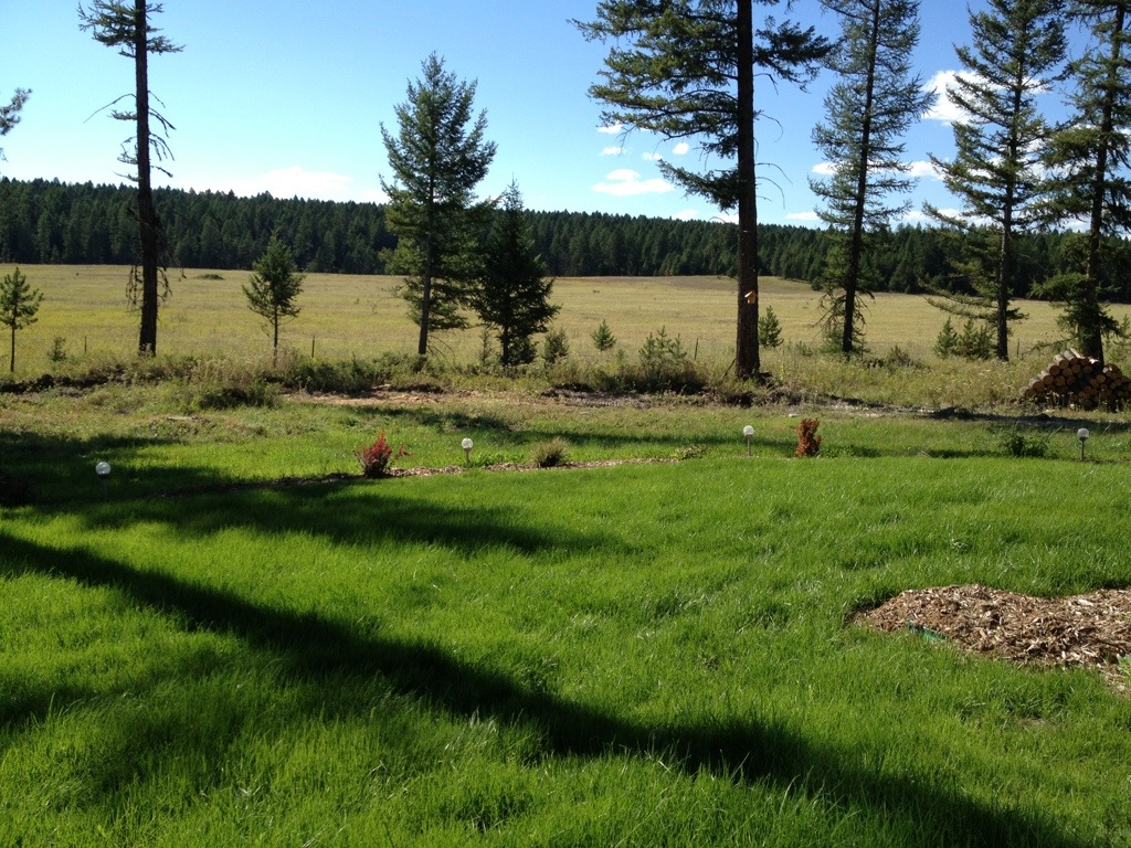 20120823-163429.jpg
