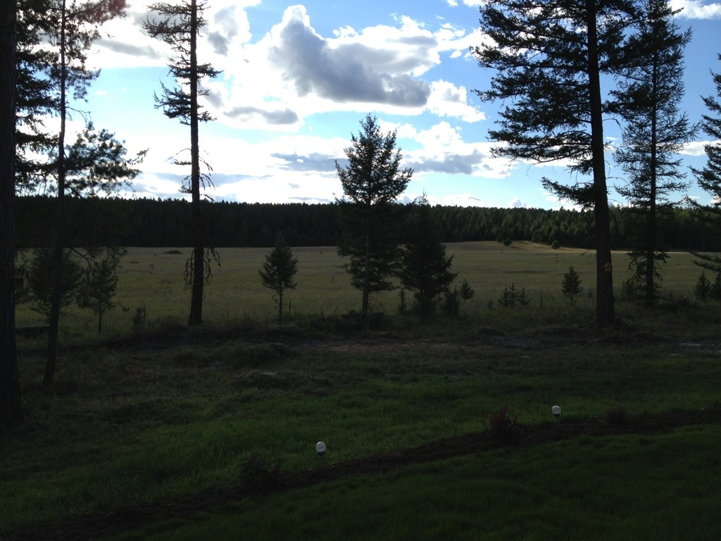 20120824-182647.jpg